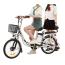 Scuter electric Tip E-Bike RDB NUFARUL putere 250W viteza 25km/h autonomie 65km fara permis
