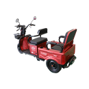 Tricicleta electrica RDB CARGO fara permis 2000W 25km/h maro