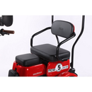 Tricicleta electrica RDB Panda 5 fara permis 650W 25 km/h 60V20Ah autonomie 67 km culoare negru