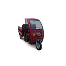 Tricicleta electrica RDB GL18000 cu cabina motor 1500W viteza 25km/h autonomie 60km basculabila fara permis