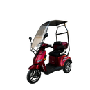 Tricicleta electrica RDB A-klass cu cabina motor 1200W viteza 25km/h autonomie 60km fara permis-Negru