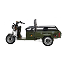 Tricicleta electrica RDB L-Klass 2 motor 1600W viteza 25km/h autonomie 45km fara permis-Verde