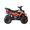 ATV RDB FXATV-SA putere 5.2 kW benzina viteza 45km/h pentru copii-Rosu