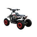 ATV RDB FXATV-SZ putere 1.52 kW benzina viteza 35km/h pentru copii