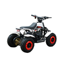 ATV RDB FXATV-SZ putere 1.52 kW benzina viteza 35km/h pentru copii