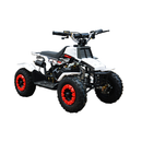 ATV RDB FXATV-SZ putere 1.52 kW benzina viteza 35km/h pentru copii