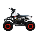 ATV RDB FXATV-SZ putere 1.52 kW benzina viteza 35km/h pentru copii