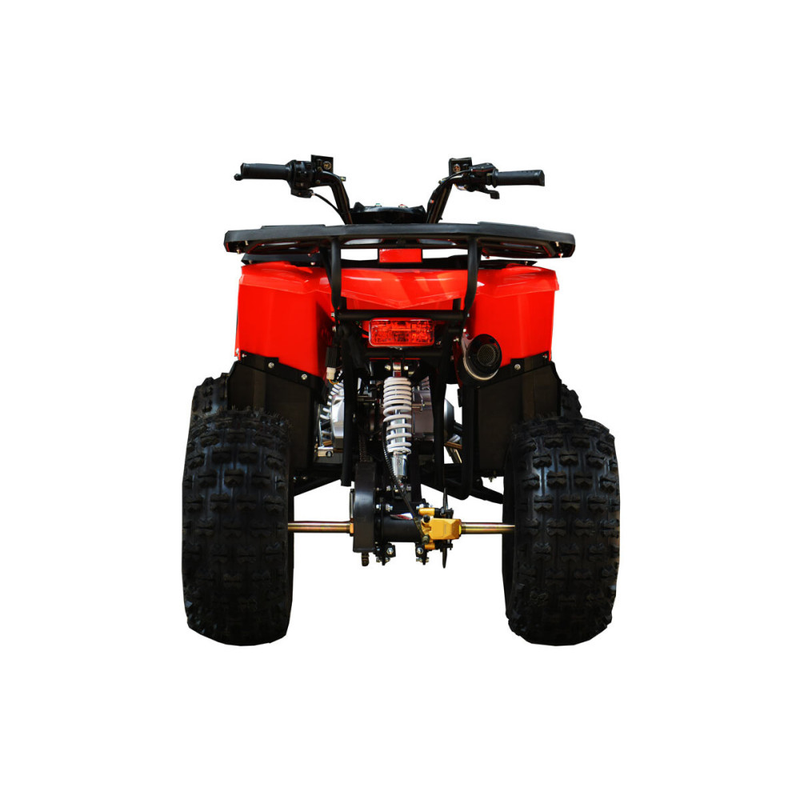 ATV RDB FXATV-SV viteza 35km/h benzina pentru adulti