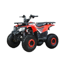 ATV RDB FXATV-SV viteza 35km/h benzina pentru adulti