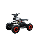 ATV RDB FXATV-ESZ motor 500W electric viteza 25 km/h pentru copii