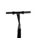 Trotineta electrica RDB LYS 017-1 putere 350W viteza 25 km/h autonomie 25 km roti 8"