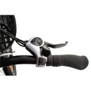 Bicicleta electrica RDB NE10 putere 250W viteza 25km/h autonomie 45-60km fara permis