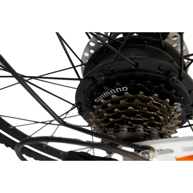Bicicleta electrica RDB NE10 putere 250W viteza 25km/h autonomie 45-60km fara permis