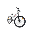 Bicicleta electrica RDB T7 putere 250W viteza 25km/h autonomie 30-40km fara permis