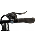 Bicicleta electrica RDB T7 putere 250W viteza 25km/h autonomie 30-40km fara permis