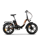 Bicicleta electrica pliabila RDB RS1-x Pro putere 250W viteza 25km/h autonomie 50-60km fara permis
