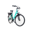 Bicicleta electrica RDB Devron City putere 250W viteza 25km/h autonomie 30-40km fara permis