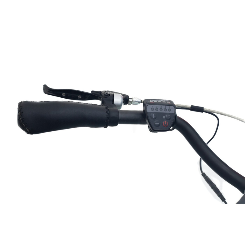 Bicicleta electrica RDB Devron City putere 250W viteza 25km/h autonomie 30-40km fara permis