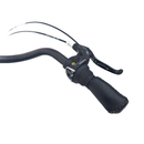 Bicicleta electrica RDB Devron City putere 250W viteza 25km/h autonomie 30-40km fara permis