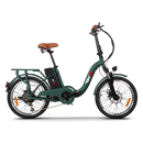 Bicicleta electrica RDB GT-25 putere 250W viteza 25km/h autonomie 35km fara permis-Negru