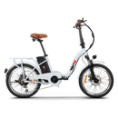 Bicicleta electrica RDB GT-25 putere 250W viteza 25km/h autonomie 35km fara permis-Verde