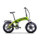 Bicicleta electrica pliabila RDB RD-5 putere 250W viteza 25km/h autonomie 50-60km fara permis