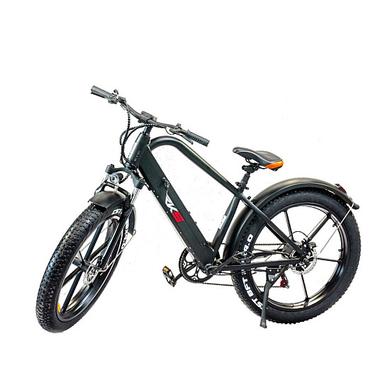 Bicicleta electrica RDB XR6 putere 250W viteza 25km/h autonomie 45km fara permis
