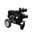 Motopompa de debit Gardelina DWP 420 BS4 X apa murdara motor 14 CP BRIGGS & STRATTON benzina presiune 3 bar debit 129 mc/h adancime aspiratie 8m