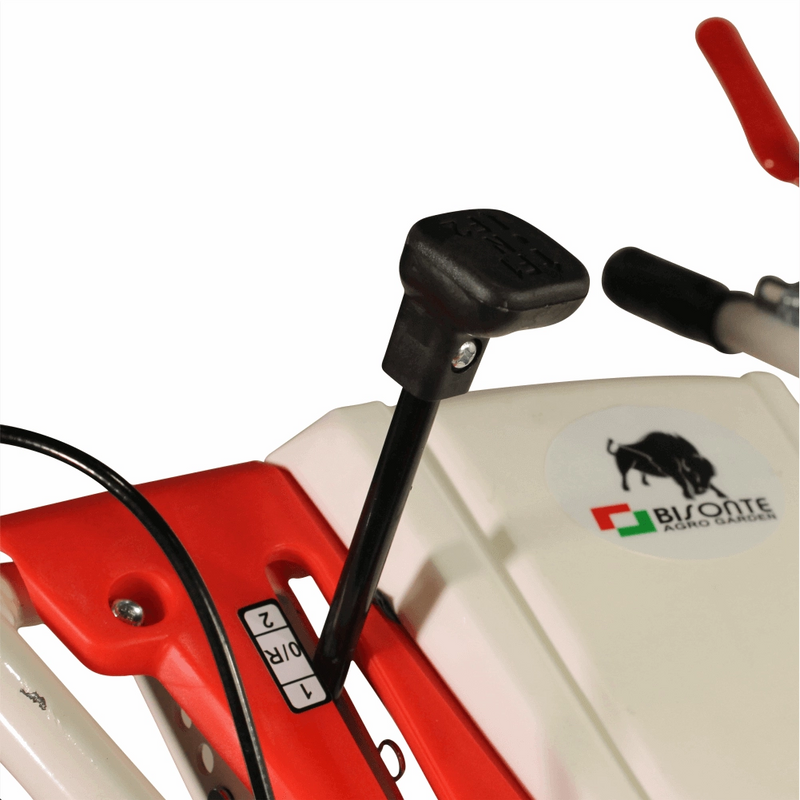 Motocultor BISONTE Agro Garden BTA-1000 latime de lucru 560 – 830 mm, adancime 300 mm, motor 7 cp