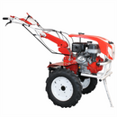 Motocultor BISONTE Agro Garden BTA-10SG latime de lucru 1350 mm adancime 300 mm motor 10 cp