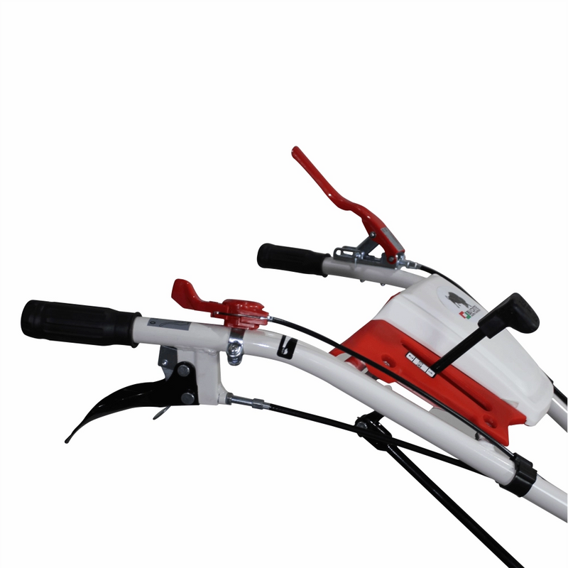 Motocultor BISONTE Agro Garden BTA-10SG latime de lucru 1350 mm adancime 300 mm motor 10 cp