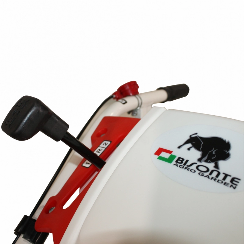 Motocultor BISONTE Agro Garden BTA-12SDE latime lucru 1350mm adancime 300mm, cover motor Diesel 12cp