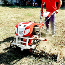 Motocultor BISONTE Agro Garden BTA-12SDE latime lucru 1350mm adancime 300mm, cover motor Diesel 12cp