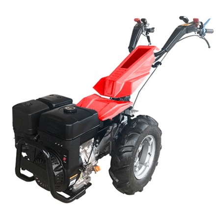 Multifunctional BISONTE Agro Garden BTA-MF400 motor Dingking 15 cp