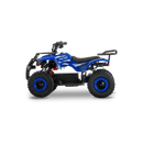 ATV electric RDB FFL800 putere 800W viteza 25 km/h 36V12Ah-Verde