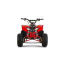 ATV pentru copii RDB-AZ110 benzina pornire electrica viteza 45 km/h 110cc 4T roti 16x8-7-Negru/Verde