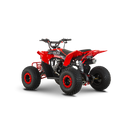 ATV pentru copii RDB-AZ110 benzina pornire electrica viteza 45 km/h 110cc 4T roti 16x8-7-Gri/Galben