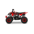 ATV pentru copii RDB-AZ110 benzina pornire electrica viteza 45 km/h 110cc 4T roti 16x8-7-Negru/Verde