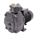 Hidrofor cu pompa de mare adancime Wasserkonig FA684850 putere 1500 W debit 2880 l/h inaltime refulare 68 m aspiratie 40 m vas de expansiune 50 litri