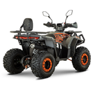 ATV de copii RDB AFP125 off-road benzina motor 4 Timpi 125cc viteza 45 km/h-Negru/Verde