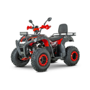 ATV RDB AW200 180cc Racire pe aer 4 Timpi-Verde