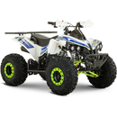 ATV de copii RDB AN125 benzina off-road 125cc 4 Timpi viteza 45 km/h-Alb