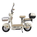 Scuter Electric RDB PARIS+ putere 600W viteza 25 km/h autonomie 40-50 km 48V 20Ah fara permis-Verde