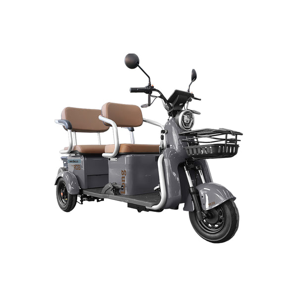 Tricicleta electrica RDB LONG fara permis 2000W 25km/h gri