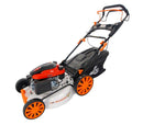 MASINA TUNS GAZON O-MAC M178-2BJ LC1P70FC 6.5CP 50.8CM