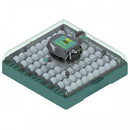 Incubator automat 72 oua Ryaba EU PROFI 72