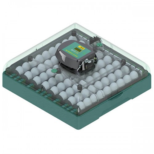 Incubator automat 72 oua Ryaba EU PROFI 72