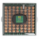 Incubator automat 72 oua Ryaba EU PROFI 72