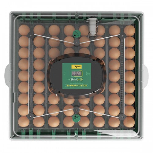 Incubator automat 72 oua Ryaba EU PROFI 72