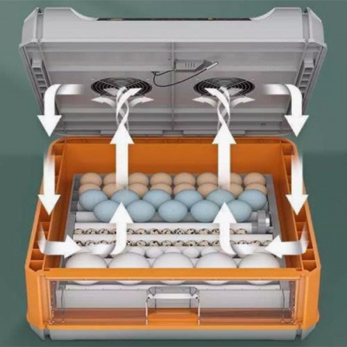 Incubator automat 64 oua Ryaba WI-64